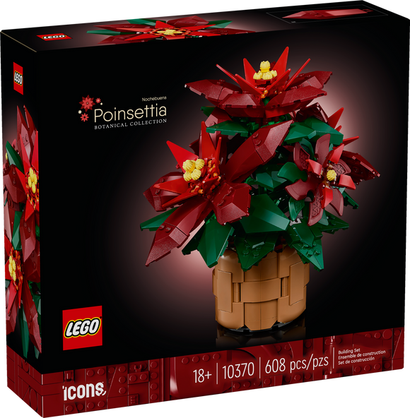 Poinsettia