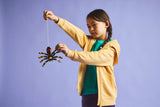 Surprising Spider