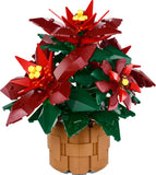 Poinsettia