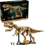 Dinosaur Fossils: Tyrannosaurus rex