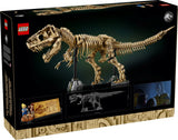 Dinosaur Fossils: Tyrannosaurus rex