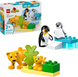 Wild Animal Families: Penguins & Lions
