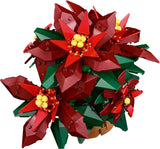 Poinsettia