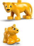 Wild Animal Families: Penguins & Lions