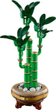 Lucky Bamboo