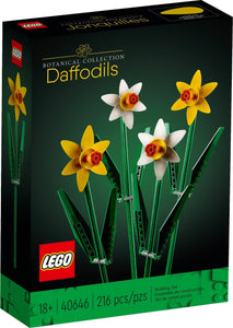 Daffodils