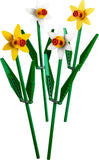 Daffodils